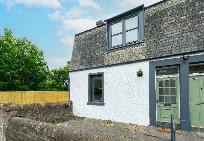 House in Broughty Ferry - The Palm - Eclectic Bliss House in Broughty Ferry - The Palm - Eclectic Bliss