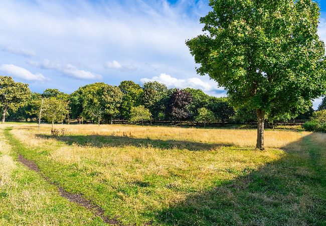 Apartment in Broughty Ferry - Orchar Park View - Broughty Ferry Apartment in Broughty Ferry - Orchar Park View - Broughty Ferry