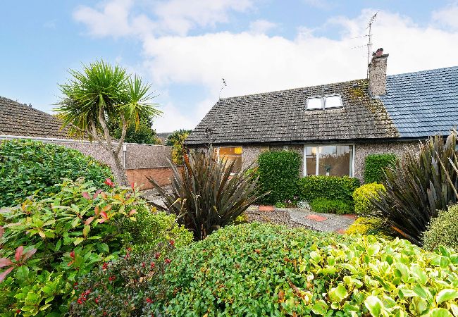 House in Broughty Ferry - Taigh Tatha - Spacious & Stylish 3 Bed House in Broughty Ferry - Taigh Tatha - Spacious & Stylish 3 Bed